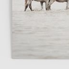 White Camargue Horses - Minimalist Nature Photography Poster Gallery Image 3