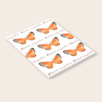 Butterfly - Mesene margaretta Notebook Gallery Image 2