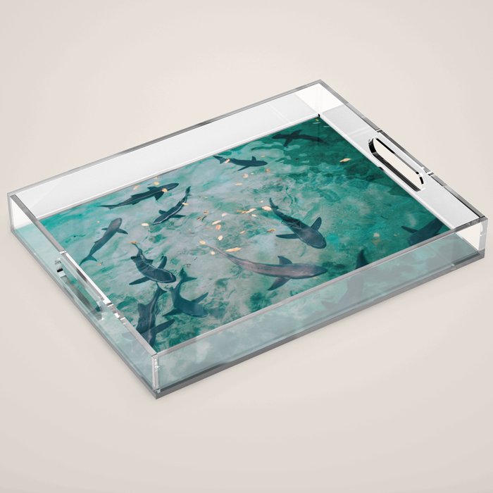Shoal of Sharks (Color) Acrylic Tray Gallery Image 1