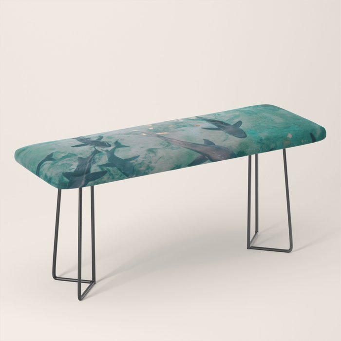 Shoal of Sharks (Color) Bench Gallery Image 1