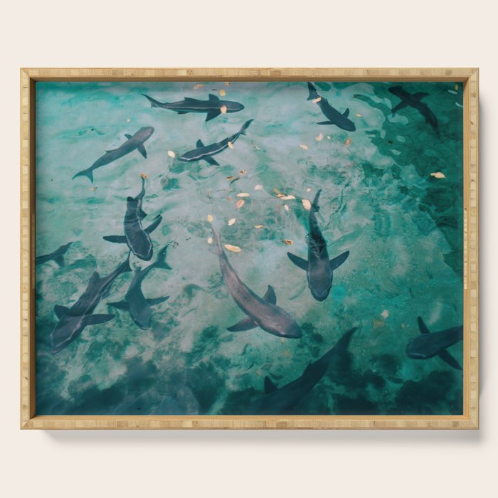 Shoal of Sharks (Color) Serving Tray Gallery Image 1