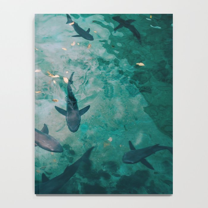 Shoal of Sharks (Color) Notebook Gallery Image 4
