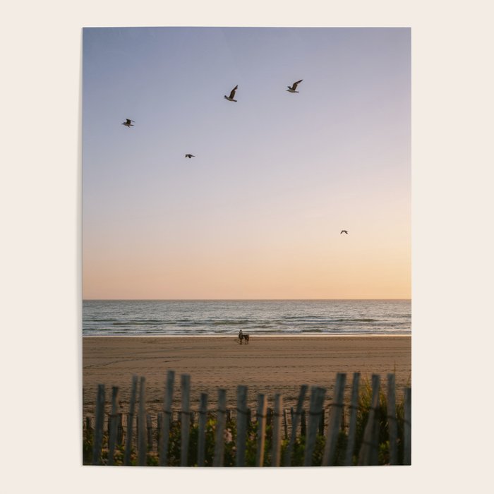 Beach Ride | Tamraght Moroccan Coast Travel Photography Poster Gallery Image 1