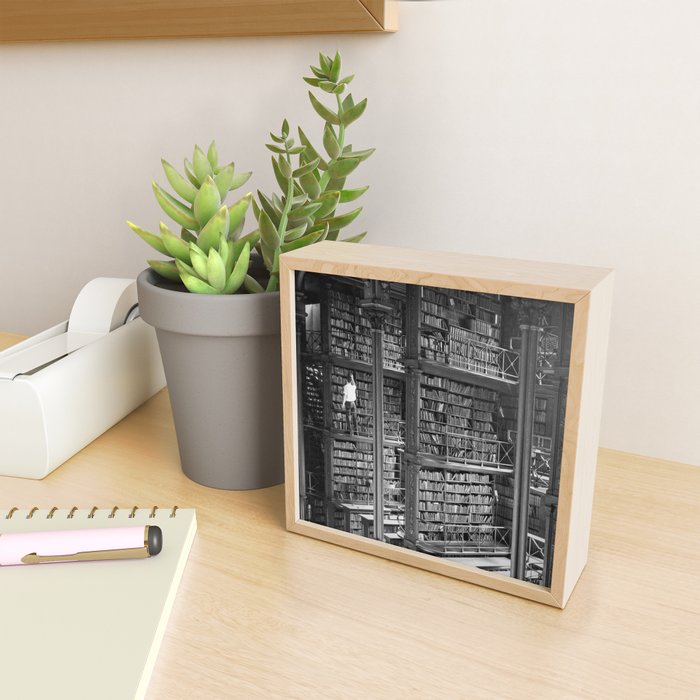 A book lovers dream - Cast-iron Book Alcoves Cincinnati Library black and white photography Mini Art Print Gallery Image 2