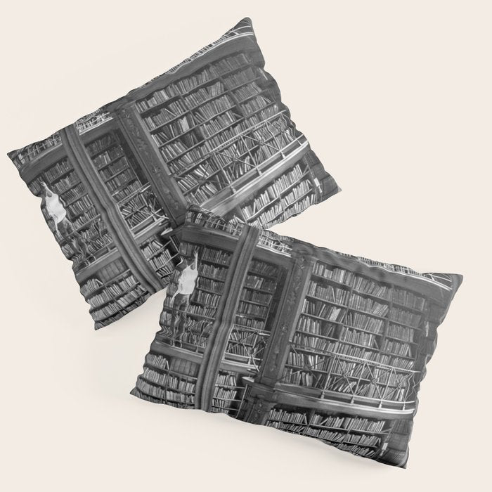 A book lovers dream - Cast-iron Book Alcoves Cincinnati Library black and white photography Pillow Sham Gallery Image 3