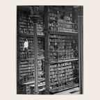 A book lovers dream - Cast-iron Book Alcoves Cincinnati Library black and white photography Poster Gallery Image 4