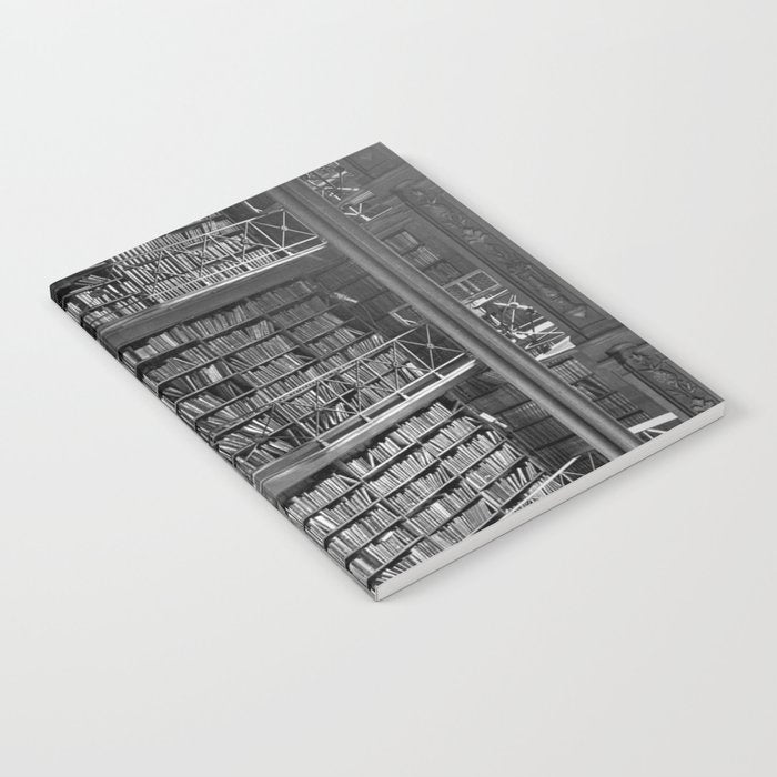 A book lovers dream - Cast-iron Book Alcoves Cincinnati Library black and white photography Notebook Gallery Image 2