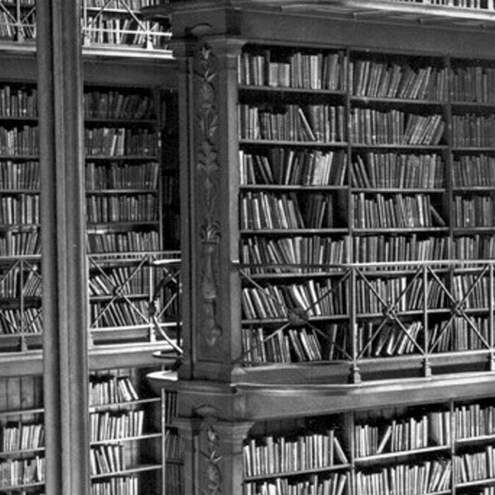 A book lovers dream - Cast-iron Book Alcoves Cincinnati Library black and white photography Coffee Mug Gallery Image 2