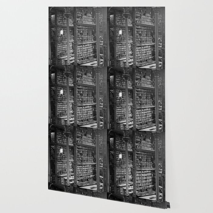 A book lovers dream - Cast-iron Book Alcoves Cincinnati Library black and white photography Wallpaper Gallery Image 2