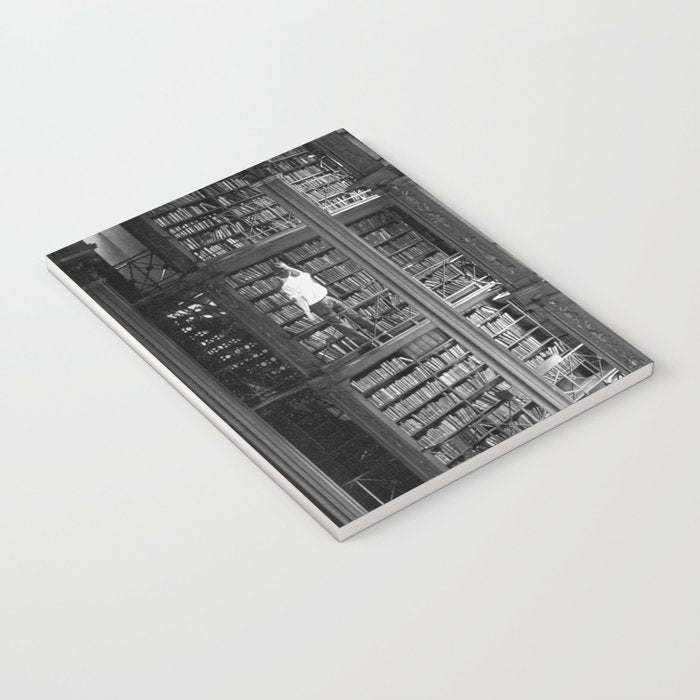 A book lovers dream - Cast-iron Book Alcoves Cincinnati Library black and white photography Notebook Gallery Image 3