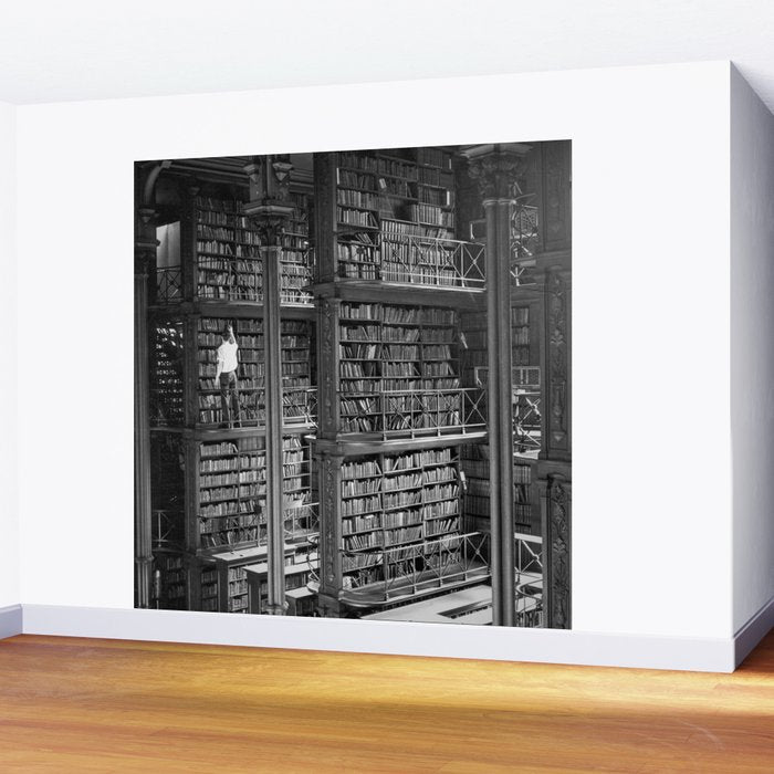A book lovers dream - Cast-iron Book Alcoves Cincinnati Library black and white photography Wall Mural Gallery Image 2