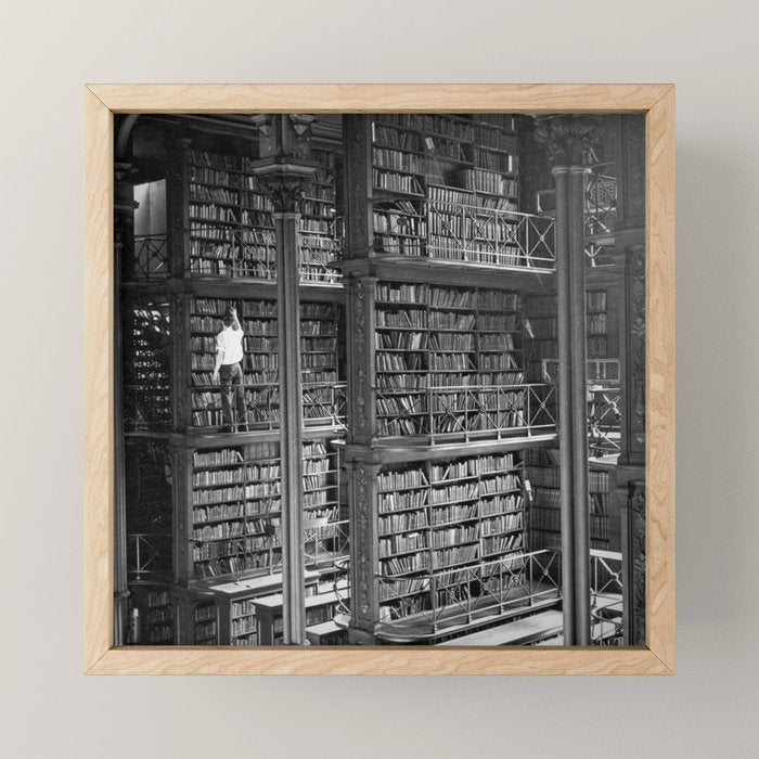 A book lovers dream - Cast-iron Book Alcoves Cincinnati Library black and white photography Mini Art Print Gallery Image 1