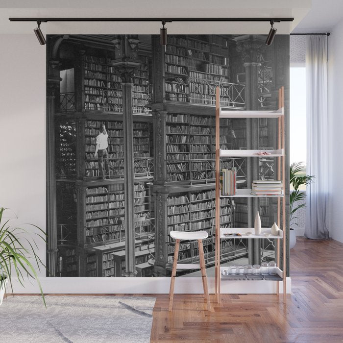 A book lovers dream - Cast-iron Book Alcoves Cincinnati Library black and white photography Wall Mural Gallery Image 1
