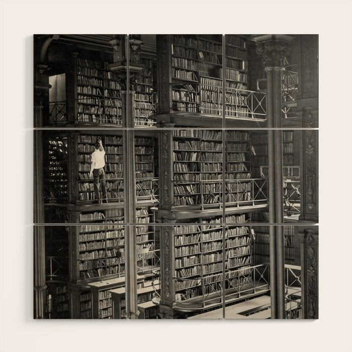 A book lovers dream - Cast-iron Book Alcoves Cincinnati Library black and white photography Wood Wall Art Gallery Image 1