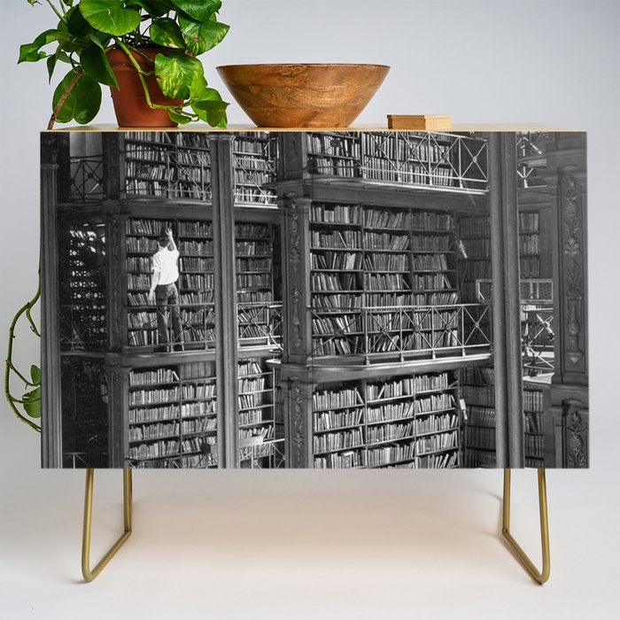A book lovers dream - Cast-iron Book Alcoves Cincinnati Library black and white photography Credenza Gallery Image 1