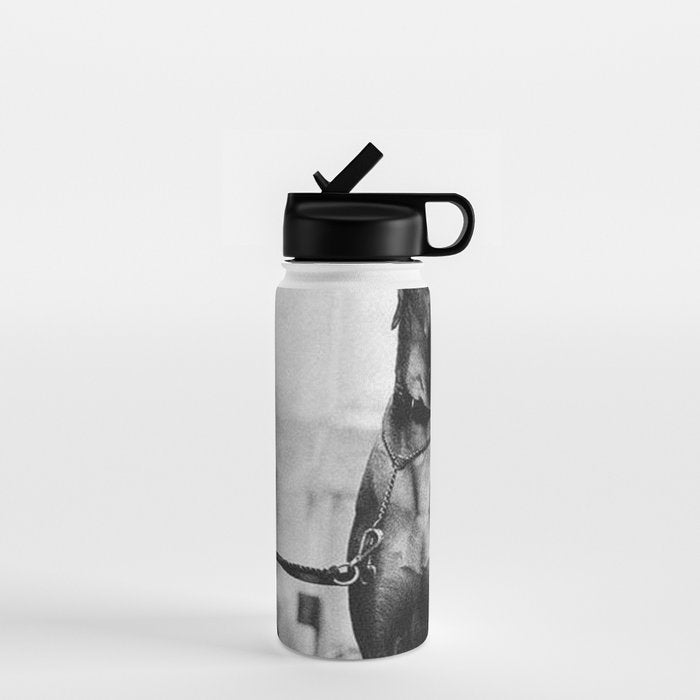 The Happiness of Little Girls and Great Danes black and white photograph Water Bottle Gallery Image 1