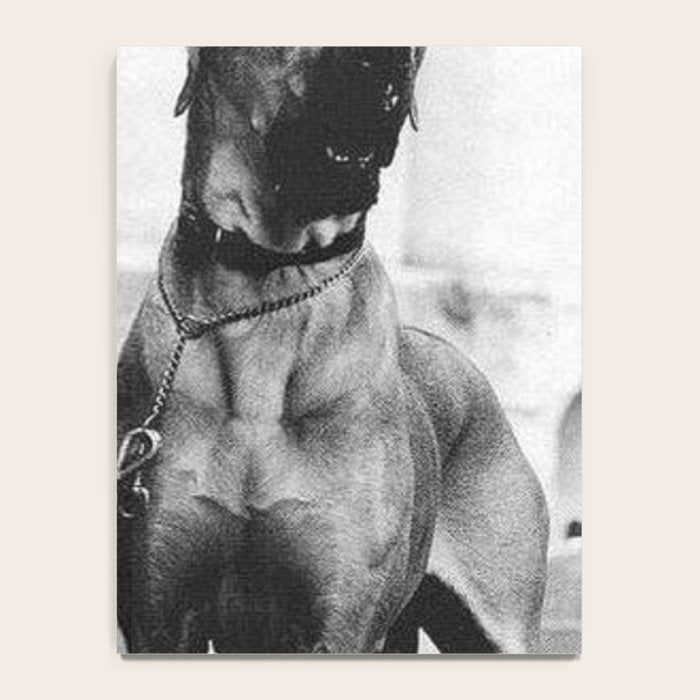 The Happiness of Little Girls and Great Danes black and white photograph Notebook Gallery Image 4