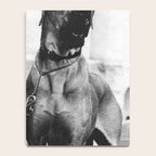 The Happiness of Little Girls and Great Danes black and white photograph Notebook Gallery Image 4