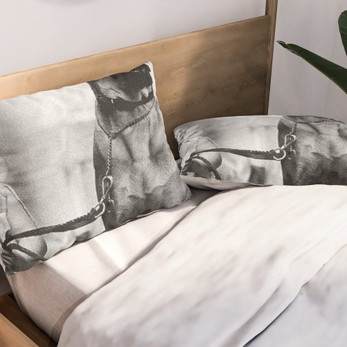 The Happiness of Little Girls and Great Danes black and white photograph Pillow Sham Gallery Image 2