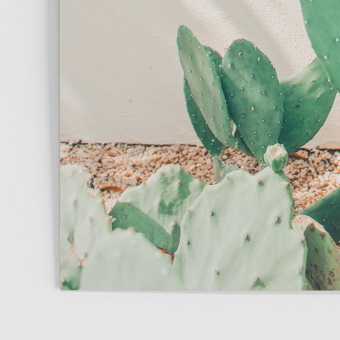 Breezy Prickly Pear  Poster Gallery Image 3