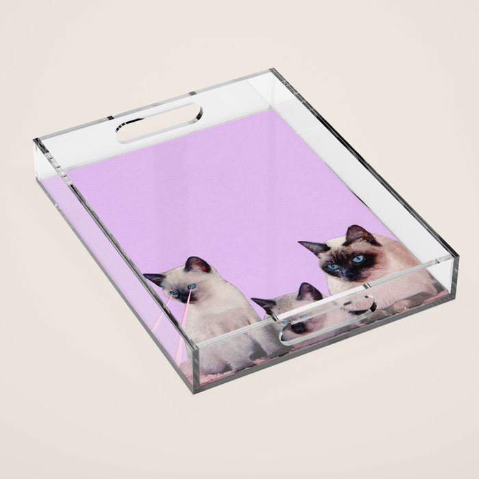Distracted Acrylic Tray Gallery Image 1