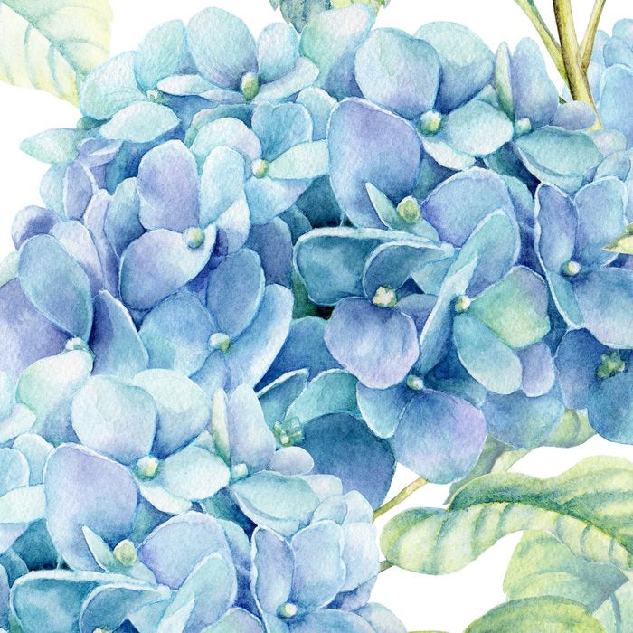 Blue Hydrangea Coffee Mug Gallery Image 2
