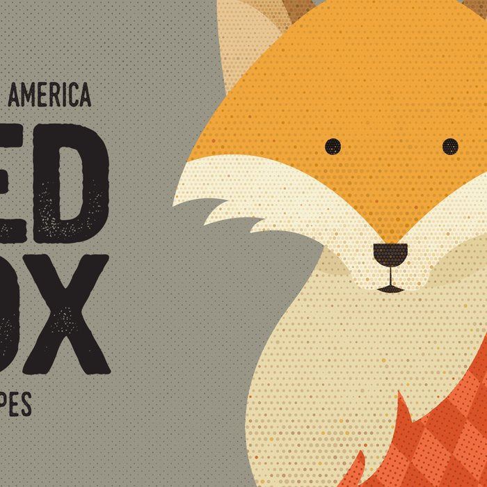 Hello Red Fox Coffee Mug Gallery Image 2