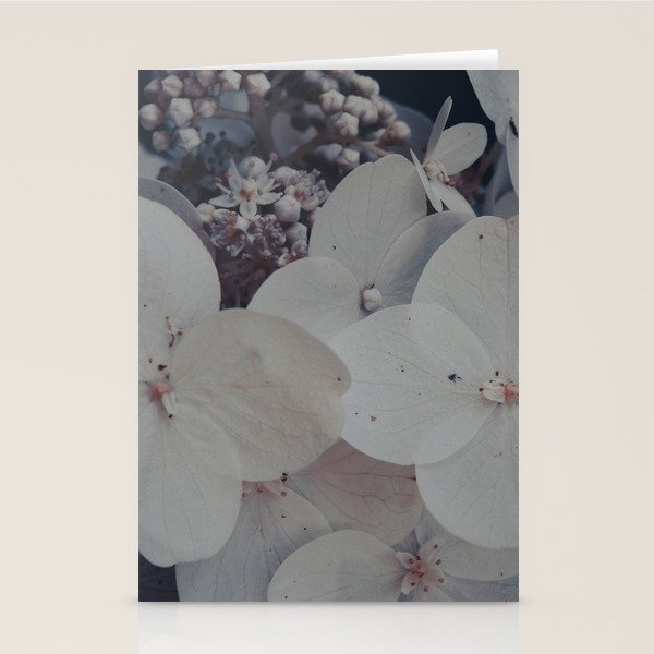 Be a Light in the Darkness x modern botanical hydrangea flower photograph Stationery Card Gallery Image 2