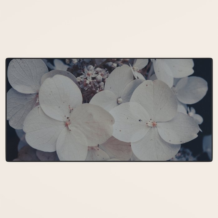 Be a Light in the Darkness x modern botanical hydrangea flower photograph Desk Mat Gallery Image 3