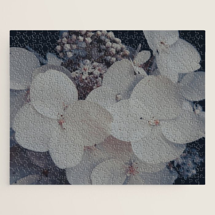 Be a Light in the Darkness x modern botanical hydrangea flower photograph Jigsaw Puzzle Gallery Image 1