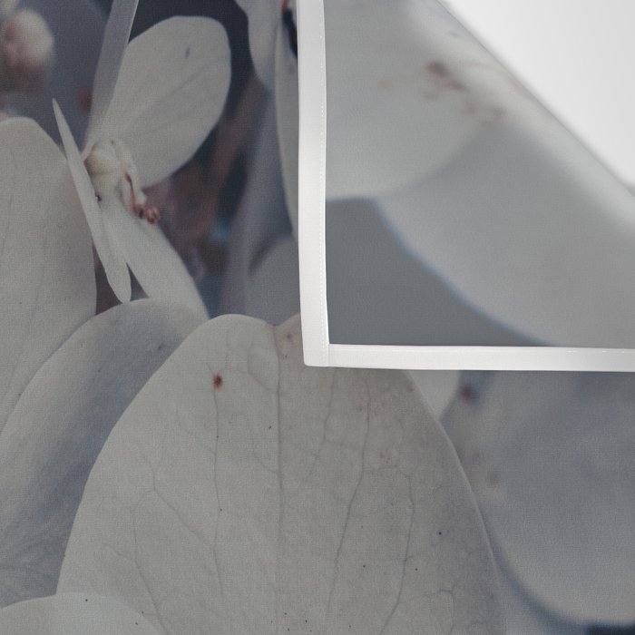 Be a Light in the Darkness x modern botanical hydrangea flower photograph Wall Tapestry Gallery Image 3