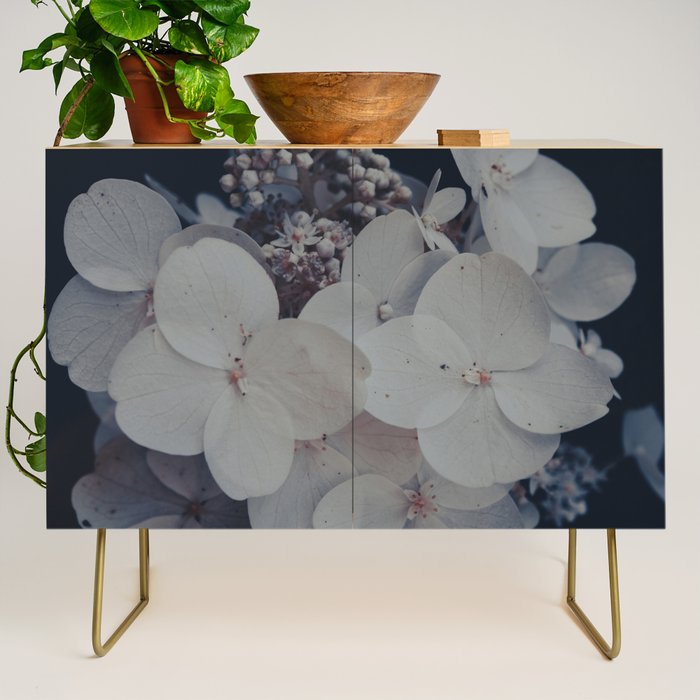 Be a Light in the Darkness x modern botanical hydrangea flower photograph Credenza Gallery Image 1