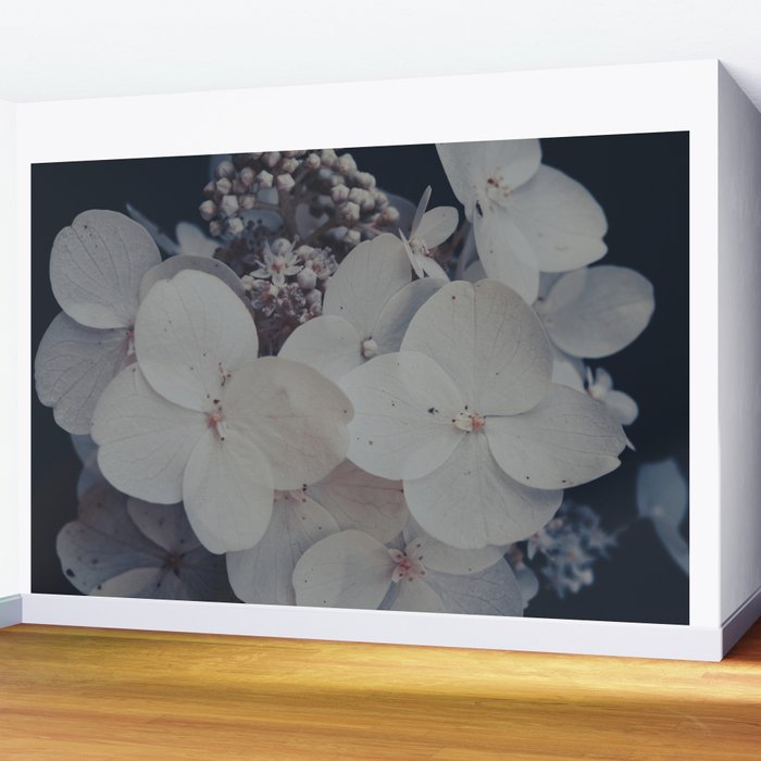 Be a Light in the Darkness x modern botanical hydrangea flower photograph Wall Mural Gallery Image 2
