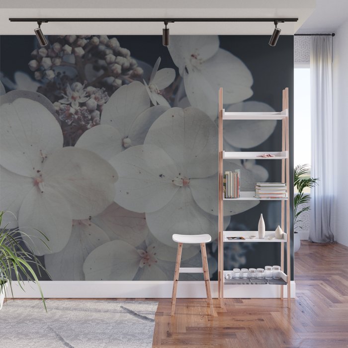 Be a Light in the Darkness x modern botanical hydrangea flower photograph Wall Mural Gallery Image 1