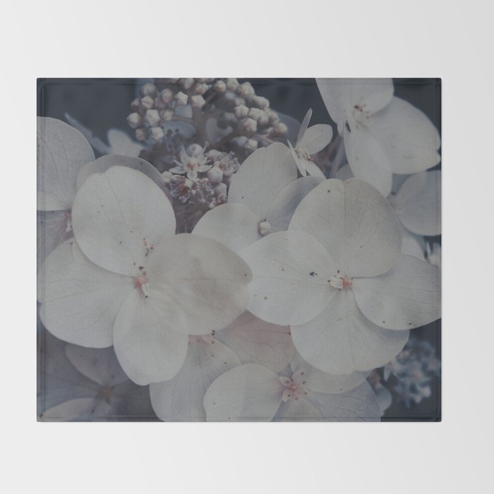 Be a Light in the Darkness x modern botanical hydrangea flower photograph Throw Blanket Gallery Image 2