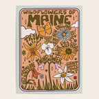 Maine Wildflowers Poster Gallery Image 4