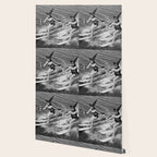 WaterSkiing Witches, Halloween, Black and White Vintage Art Wallpaper Gallery Image 2