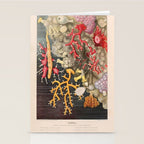 Corals from "Le Monde de la Mer," 1866 (benefitting The Nature Conservancy) Stationery Card Gallery Image 2
