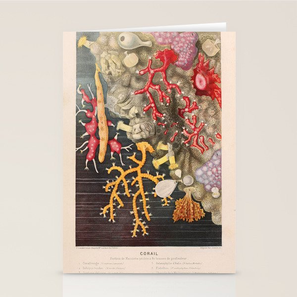 Corals from "Le Monde de la Mer," 1866 (benefitting The Nature Conservancy) Stationery Card Gallery Image 2