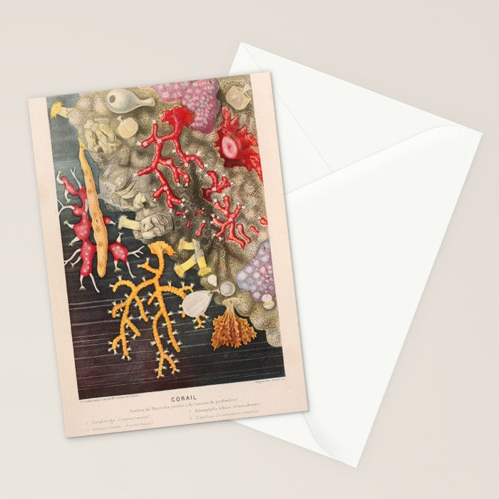 Corals from "Le Monde de la Mer," 1866 (benefitting The Nature Conservancy) Stationery Card Gallery Image 2