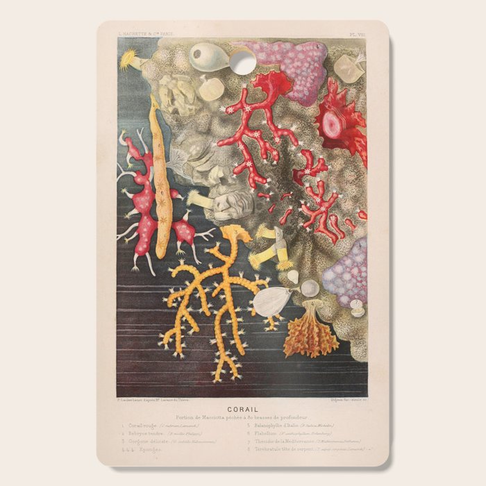 Corals from "Le Monde de la Mer," 1866 (benefitting The Nature Conservancy) Cutting Board Gallery Image 1