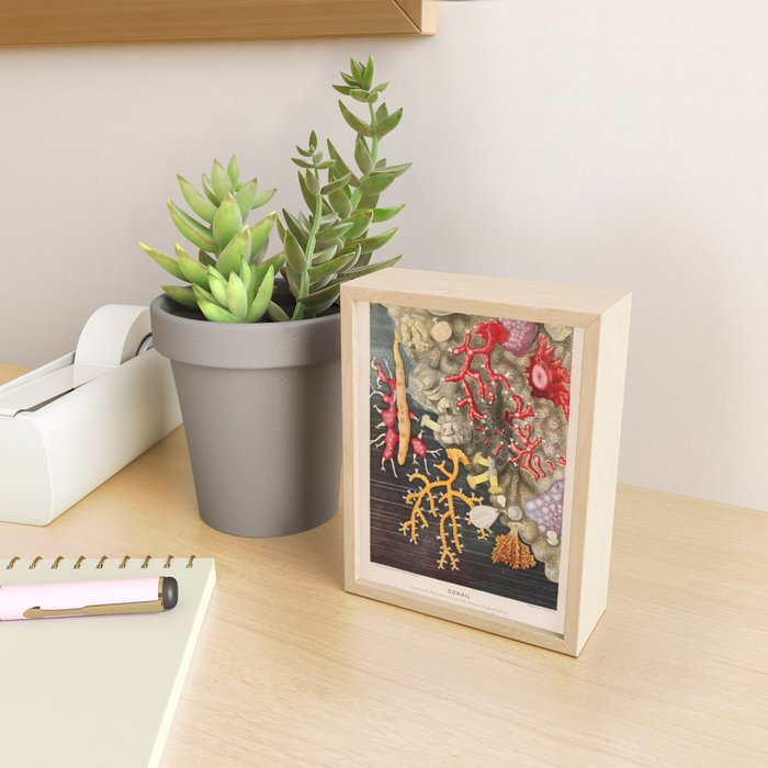 Corals from "Le Monde de la Mer," 1866 (benefitting The Nature Conservancy) Mini Art Print Gallery Image 2