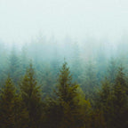 Landscape Pine Forest Green Evergreen Trees Minimalist Simple Landscape Coffee Mug Gallery Image 2