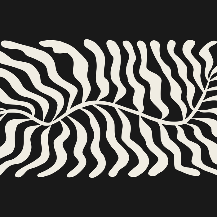 Onyx Ferns: Black & White Matisse Edition Coffee Mug Gallery Image 2