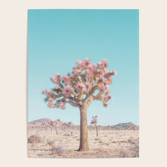 Desert Dream - Joshua Tree Landscape Photography Poster Gallery Image 4