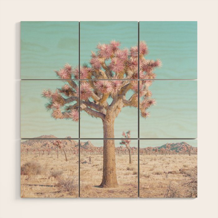 Desert Dream - Joshua Tree Landscape Photography Wood Wall Art Gallery Image 1