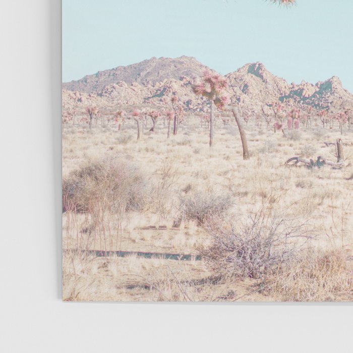 Desert Dream - Joshua Tree Landscape Photography Poster Gallery Image 3