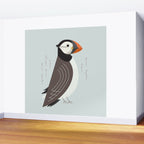 Atlantic Puffin, Bird of United Kingdom Wall Mural Gallery Image 2