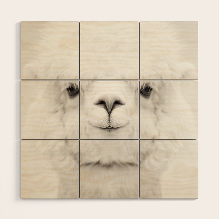 SMILING ALPACA Wood Wall Art Gallery Image 1