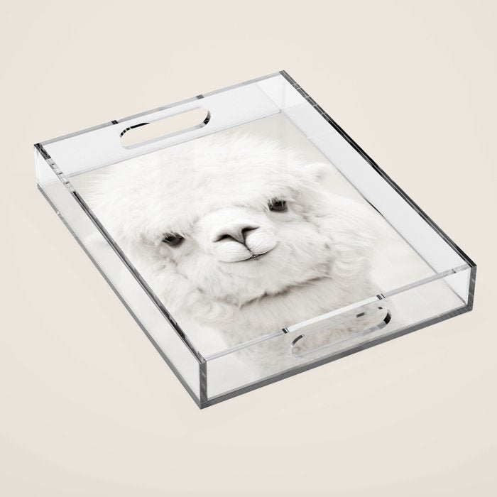 SMILING ALPACA Acrylic Tray Gallery Image 1
